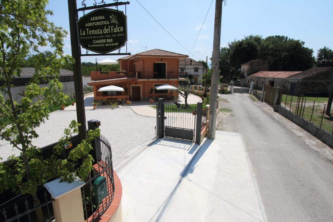 Azienda Agrituristica La Tenuta Del Falco Piedimonte San Germano Exterior foto